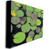 Trademark Fine Art Kathie McCurdy 'Frog in the Lily Pond' Canvas Art, 35x47 KM0154-C3547GG